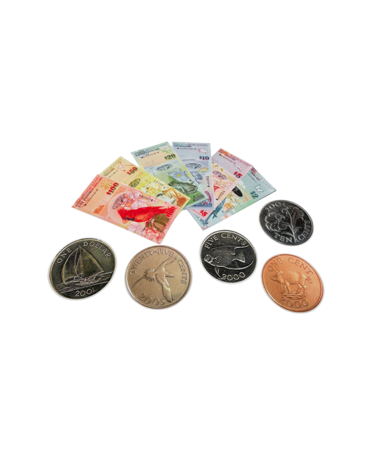 Bermuda Money Magnet Set