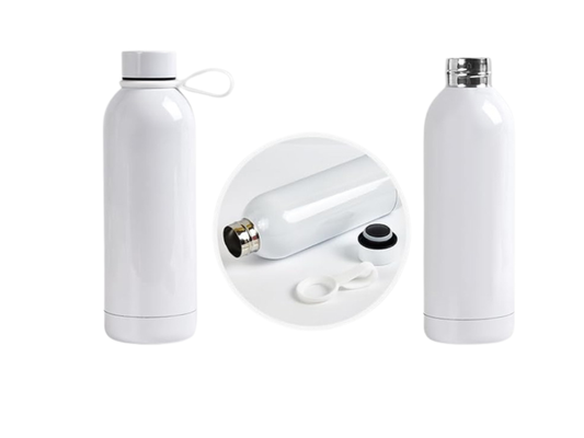 17 oz Water Bottle with Silicone Ring